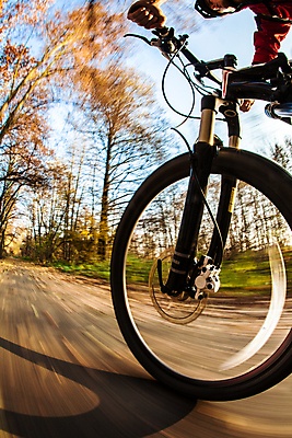 포토 JPG 해외이미지 도로 스포츠 포즈 이동 컨셉 잎 자국 모션 자연 건강 사람없음 야외 노란색 자전거 활발 가을 바퀴 승차 소프트포커스 숲 속도 순환 각도 먼지 장면 바이킹 블러 산악자전거 페달 해외202004 해외포토 식물 계절 길 컬러 교통시설 촬영기법 바이크 생태계 파일형식 이미지허브