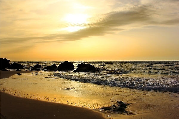포토 JPG 해외이미지 구름 모래 파도 바다 여행 오렌지 자연 조류 하늘 휴가 휴식 풍경 사람없음 야외 빨간색 물 여름 파란색 햇빛 태양 반사 갈색 노란색 일출 침묵 황혼 일몰 황금 저녁 암초 수평선 해외202004 해외포토 자연요소 동물 계절 컬러 컨셉 과일 노을 소리 야간 생태계 파일형식 이미지허브