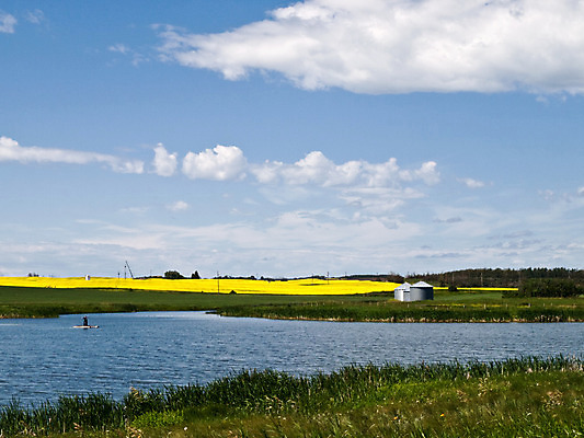 포토 JPG 해외이미지 식물 구름 꽃 여행 백그라운드 밭 농업 자연 하늘 휴식 풍경 사람없음 야외 여름 파란색 컬러풀 농장 농경지 노란색 환경 봄 자유 흰색 시골 신선 뜨거움 탈출 밭일 카놀라 파라다이스 수평선 해외202004 해외포토 자연요소 계절 산업 컬러 컨셉 생태계 파일형식 이미지허브