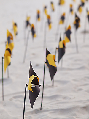 포토 JPG 해외이미지 모래 자연 바람 건조 사람없음 모래사장 컬러풀 장난감 노란색 검은색 막대기 오브젝트 줄서기 많음 해외202004 해외포토 자연요소 바다 컬러 컨셉 모션 날씨 생태계 파일형식 이미지허브