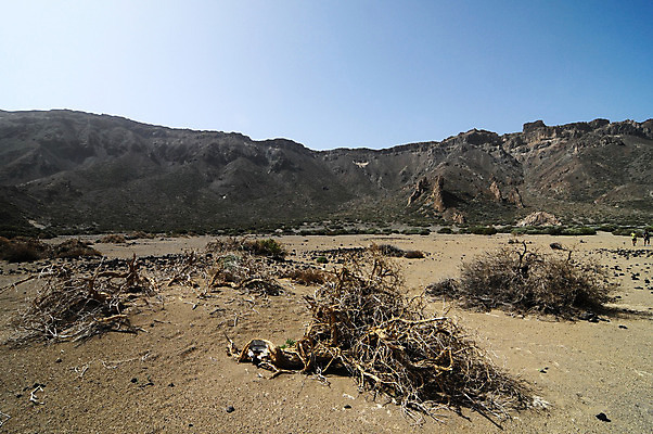 포토 JPG 해외이미지 유럽 호수 모래 여행 오렌지 하늘 산 건조 풍경 사람없음 빨간색 빛 갈색 사막 시골 죽음 뜨거움 중앙 호주 위험 땅 인도인 언덕 부식 화산 먼지 신성 암초 동쪽 생태학 스페인어 오지 요르단 팔레스타인 수평선 해외202004 해외포토 외국인 교육 나라 컬러 컨셉 과일 중동 동양인 오세아니아 방향 파일형식 이미지허브
