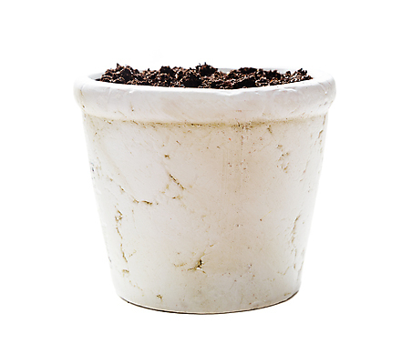 포토 JPG 해외이미지 꽃 화분 백그라운드 자연 취미 사람없음 흙 성장 땅 오브젝트 원예 땅바닥 심기 해외202004 해외포토 식물 모션 바닥 생태계 파일형식 이미지허브