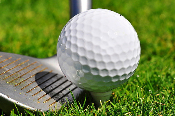 포토 JPG 해외이미지 스포츠 골프 공 놀이 골프공 집게 취미 사람없음 초록색 여름 경쟁 운전 게임 흰색 구멍 운전사 골퍼 닫기 목표 강의 연습 그네 클럽 독수리 슛 스트라이크 타격 해외202004 해외포토 직업 계절 컬러 컨셉 모션 조류 운동선수 골프용품 구기 파일형식 이미지허브