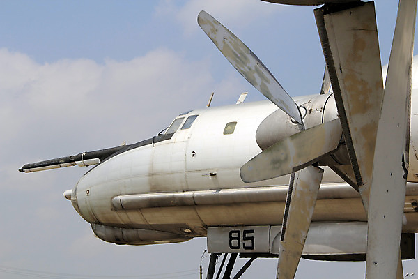 포토 JPG 해외이미지 구름 디자인 백그라운드 부분 곰 벽지 하늘 날씨 비행기 사람없음 야외 파란색 금속 힘 페인트 손상 회색 수확 역사 공항 철 묘사 항공 질감 군용 프로펠러 전략 엔진 모터 원자력 깊이 대패 러시아인 소비에트 옛날 중고 철강 폭격기 해외202004 해외포토 자연요소 서양인 동물 무기 컬러 컨셉 농업 포유류 항공교통 교통시설 재질 대중교통 군대 에너지 파일형식 이미지허브