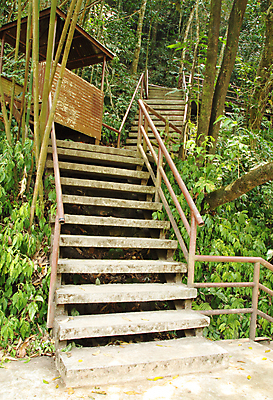 포토 JPG 해외이미지 나무 식물 공원 도로 길 백그라운드 잎 곡선 자국 자연 풍경 사람없음 야외 목재 초록색 여름 계단 환경 정원 봄 산책 하이킹 탐험 바위 시골 숲 신비 오솔길 방향 단계 내추럴 방법 선로 옛날 해외202004 해외포토 계절 공공시설 선 컬러 컨셉 재료 교통시설 레저 휴식 돌_바위 생태계 파일형식 이미지허브