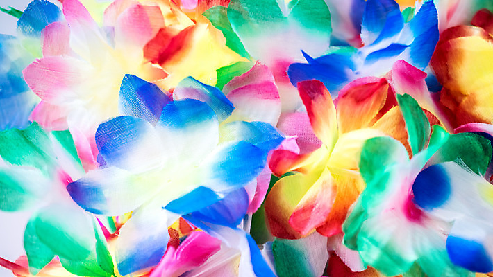 포토 JPG 해외이미지 식물 꽃잎 꽃 분홍색 꽃다발 꽃무늬 자연 휴가 사람없음 장식 빨간색 초록색 노란색 정원 보라색 봄 튤립 벚꽃 신선 난초 하와이인 해외202004 해외포토 외국인 계절 컬러 무늬 생태계 파일형식 이미지허브