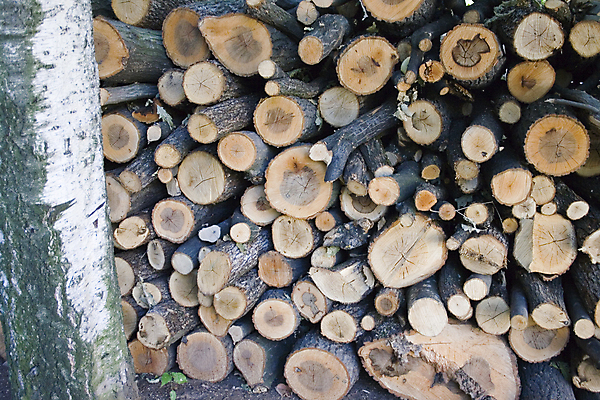 포토 JPG 해외이미지 산업 주택 사람없음 목재 쌓기 업무 판넬 거친 수리 제조 널 매끈함 낟알 자르기 목수 질감 상업 목공예 수납 소매 잡동사니 방앗간 대출 매각 방법 벌목 리모델링 수목 업그레이드 프로젝트 공급 해외202004 해외포토 나무 직업 재료 모션 건물 금융 작업 감각 공예 파일형식 이미지허브