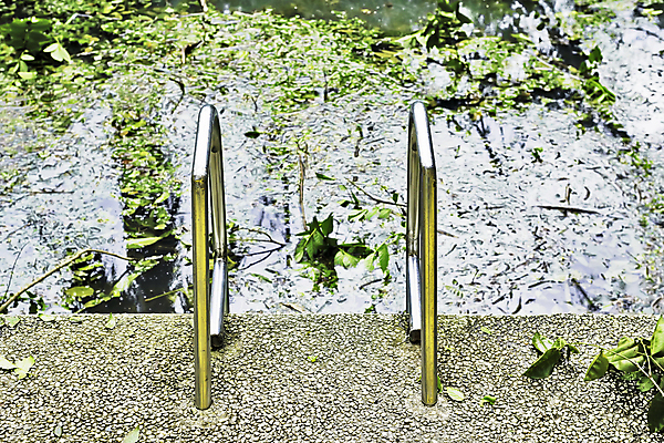 포토 JPG 해외이미지 나무 식물 계절 백그라운드 자연 날씨 동양인 사람없음 초록색 물 반사 정원 손상 파편 당구 대나무 먼지 재앙 해외202004 해외포토 자연요소 컬러 컨셉 인종 구기 생태계 파일형식 이미지허브