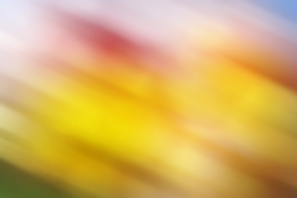 포토 JPG 해외이미지 백그라운드 패턴 전구 공 모션 추상 휴가 그림자 사람없음 아웃포커스 장식 빛 반짝임 컬러풀 파티 우주 축제 어둠 활발 기쁨 축하 점 원형 야간 소프트포커스 질감 보케 마법 강렬 광 멀티 블러 스펙트럼 엘리먼트 여의주 특별함 해외202004 해외포토 자연요소 도형 감정 컬러 컨셉 무늬 촬영기법 이벤트 파일형식 이미지허브