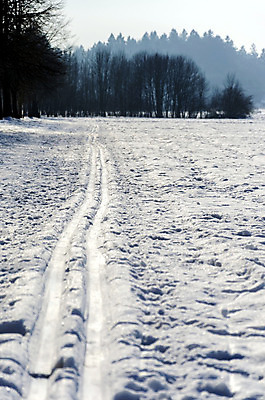 포토 JPG 해외이미지 스포츠 겨울 자연 스키 풍경 사람없음 운동 환경 기차 추위 자유 흰색 장면 지역 선로 자취 해외202004 해외포토 계절 육상교통 컬러 컨셉 겨울스포츠 대중교통 건강 생태계 파일형식 이미지허브
