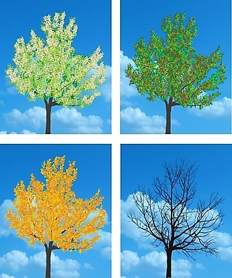 포토 JPG 해외이미지 나무 계절 낙엽 잎 겨울 일러스트 자연 날씨 풍경 사람없음 목재 초록색 여름 환경 봄 성장 가을 흰색 나뭇가지 개화 4 체리 변화 고독 연도 관목 싱글 서리 해외202004 해외일러스트 식물 꽃 감정 컬러 컨셉 과일 재료 숫자 생태계 파일형식 이미지허브