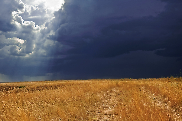 포토 JPG 해외이미지 구름 계절 백그라운드 밭 자연 하늘 바람 날씨 풍경 사람없음 야외 파란색 햇빛 어둠 황혼 가을 폭풍 흐림 뇌우 웅장함 해외202004 해외포토 자연요소 컬러 농업 태양 일몰 생태계 파일형식 이미지허브