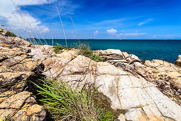 포토 JPG 해외이미지 나무 계절 모래 파도 바다 섬 여행 백그라운드 컨셉 잎 태국 자연 하늘 날씨 휴가 휴식 풍경 사람없음 야외 가로 초록색 물 여름 햇빛 태양 노란색 여행객 우주 맑음 침묵 바위 휴양지 장면 내추럴 터키석 파라다이스 폭풍우 해외202004 해외포토 자연요소 식물 아시아 컬러 사람 소리 장소 돌_바위 비_날씨 보석 자연재해 생태계 파일형식 이미지허브