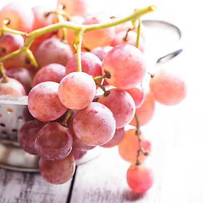 포토 JPG 해외이미지 식물 계절 열매 음식 백그라운드 농업 다이어트 과일 재료 자연 포도 디저트 건강 사람없음 목재 빨간색 와인 보라색 주스 수확 가을 나뭇가지 신선 그룹 달콤 맛 떨어짐 다발 유기농 날것 포도나무 내추럴 강렬 숙성 양조장 채식주의자 해외202004 해외포토 나무 웰빙 산업 음료 컬러 컨셉 주류 과일나무 생태계 채식 파일형식 이미지허브