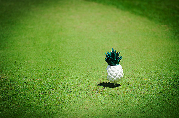 포토 JPG 해외이미지 나무 구름 계절 스포츠 밭 골프 자연 놀이 하늘 그림자 풍경 잔디 사람없음 야외 초록색 여름 파란색 운동 맑음 경쟁 봄 게임 시골 뜨거움 구멍 막대기 강의 땅 흔적 사인 클럽 휴양지 봉 골프티 넣기 파라다이스 해외202004 해외포토 자연요소 식물 컬러 컨셉 농업 모션 날씨 골프용품 건강 구기 장소 생태계 파일형식 이미지허브