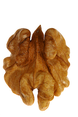 포토 JPG 해외이미지 계절 음식 크리스마스 다이어트 과일 재료 자연 건강 요리 사람없음 갈색 정원 견과류 지성 껍질 가을 원형 맛 먹기 오브젝트 알맹이 호두 내추럴 고립 해외202004 해외포토 도형 기념일 컬러 컨셉 모션 생태계 파일형식 이미지허브