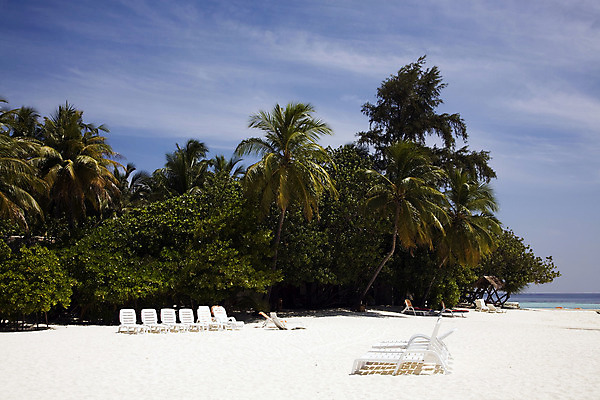 포토 JPG 해외이미지 나무 모래 바다 섬 의자 하늘 휴가 휴식 따뜻함 손바닥 사람없음 여름 파란색 평화 뜨거움 파라다이스 해외202004 해외포토 식물 손 계절 컬러 가구 컨셉 파일형식 이미지허브