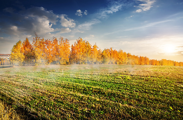 포토 JPG 해외이미지 주간 나무 자연 하늘 초원 사람없음 야외 햇빛 가을풍경 맑음 가을 해외202004 해외포토 자연요소 식물 계절 날씨 풍경 태양 생태계 파일형식 가을_계절 이미지허브