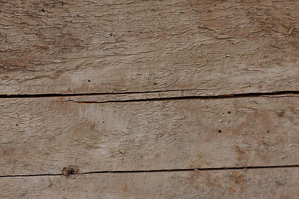 포토 JPG 해외이미지 나무 벽 백그라운드 컨셉 단풍 패턴 부분 자연 날씨 추상 프레임 사람없음 목재 갈색 줄무늬 소나무 판넬 얼룩 거친 플랫 널 숲 묘사 오브젝트 질감 내추럴 방법 효과 해외202004 해외포토 식물 컬러 잎 무늬 재료 생태계 파일형식 이미지허브