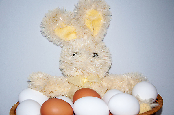 포토 JPG 해외이미지 동물 전통 디자인 계절 행복 기독교 종교 음식 십자가 휴가 부활절 이야기 선물 미술 사람없음 장식 빛 교회 바구니 믿음 계란 성경 봄 흰색 축하 토끼 예수 계획 4월 심볼 신성 신앙심 해외202004 해외포토 기념일 감정 컬러 컨셉 종교용품 포유류 문화예술 반려동물 알 신_종교 날짜 파일형식 이미지허브