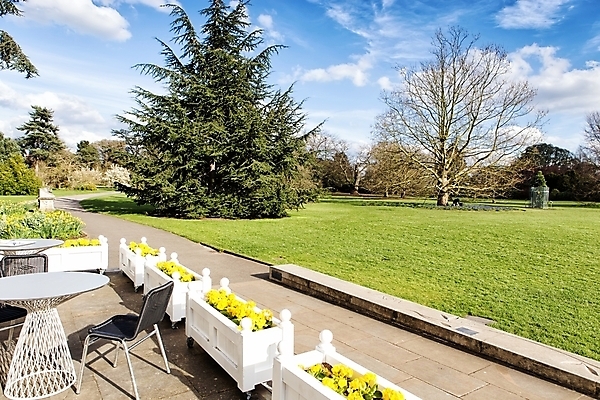 포토 JPG 해외이미지 나무 식물 구름 계절 꽃 백그라운드 밭 자연 하늘 풍경 사람없음 야외 초록색 파란색 빛 햇빛 태양 노란색 정원 맑음 봄 벚꽃 시골 땅 수선화 해외202004 해외포토 자연요소 컬러 농업 날씨 생태계 파일형식 이미지허브