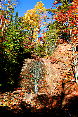 포토 JPG 해외이미지 나무 계절 여행 단풍 자연 풍경 사람없음 컬러풀 노란색 미국 가을 엽서 해외202004 해외포토 식물 컬러 잎 북아메리카 편지 생태계 파일형식 이미지허브