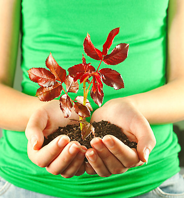 포토 JPG 해외이미지 나무 식물 1 여자 줄기 컨셉 잎 농업 자연 새로움 아이디어 관리 사람없음 초록색 새싹 흙 활발 성장 흰색 보호 작음 땅 시작 유기농 먼지 모종 묘목 심기 취급주의 세련 해외202004 해외포토 웰빙 산업 컬러 모션 경고 사람 크기 생태계 파일형식 이미지허브