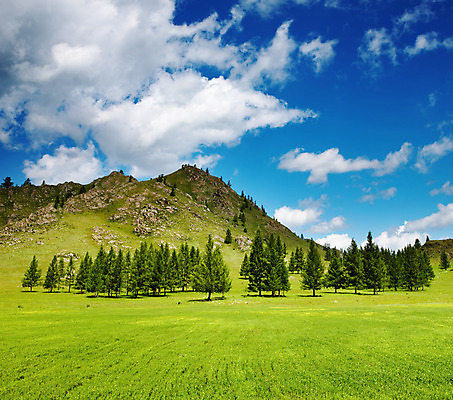 포토 JPG 해외이미지 나무 구름 밭 자연 하늘 산 풍경 잔디 사람없음 목재 초록색 여름 파란색 빛 햇빛 환경 맑음 소나무 숲 언덕 생태학 해외202004 해외포토 자연요소 식물 계절 교육 컬러 농업 재료 날씨 태양 생태계 파일형식 이미지허브