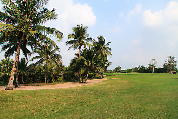 포토 JPG 해외이미지 나무 라이프스타일 스포츠 밭 골프 자연 놀이 하늘 휴가 풍경 잔디 사람없음 야외 초록색 여름 파란색 태양 경쟁 게임 깃발 구멍 강의 은퇴 클럽 내추럴 골프티 플레이어 해외202004 해외포토 자연요소 식물 계절 컬러 컨셉 농업 골프용품 생활 구기 생태계 파일형식 이미지허브