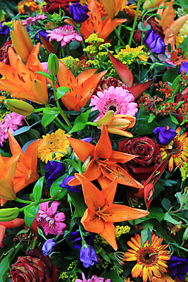 포토 JPG 해외이미지 식물 꽃잎 꽃 분홍색 꽃다발 오렌지 자연 사람없음 빨간색 초록색 여름 파란색 컬러풀 장미 노란색 봄 백합 배열 꽃집 질감 거베라 섞기 해외202004 해외포토 계절 컬러 과일 상점 생태계 파일형식 이미지허브