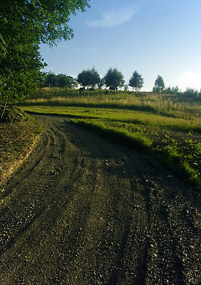 포토 JPG 해외이미지 나무 구름 계절 전통문화 밭 농업 하늘 그림자 옥수수 풍경 사람없음 초록색 여름 파란색 빛 농장 봄 줄무늬 가을 농촌 구멍 연결 작음 땅 심플 조경 일렬 시에나 평야 호밀 수평선 해외202004 해외포토 자연요소 식물 전통 산업 문화 컬러 무늬 자연 곡류 시골 크기 파일형식 이미지허브
