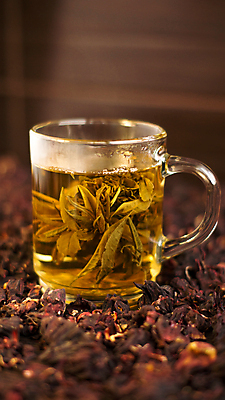 포토 JPG 해외이미지 전통 라이프스타일 꽃잎 꽃 문화 음료 음식 백그라운드 컨셉 잎 자연 유리 탁자 휴식 건강 사람없음 컵 초록색 물 약 반사 노란색 일본 중국 투명 화려 액체 개화 아침식사 먹기 허브 컵받침 구성 삶기 더스트파티클 해외202004 해외포토 자연요소 식물 식기 아시아 컬러 가구 의학 모션 재질 생활 식사 받침대 생태계 파일형식 이미지허브