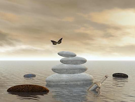 포토 JPG 해외이미지 선 나비 일러스트 자연 휴식 건강 사람없음 3D 평화 디지털 정원 스파 화목 바위 명상 만들기 테라피 내추럴 해외202004 해외일러스트 곤충 컨셉 모션 뷰티 돌_바위 디지털합성 생태계 파일형식 이미지허브