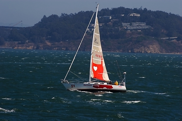 포토 JPG 해외이미지 스포츠 파도 바다 여행 요트 교통시설 모션 자연 하늘 바람 휴가 항해 사람없음 야외 물 여름 파란색 여행객 맑음 흰색 도시 만 보트 속도 함선 캘리포니아 태평양 레가타 샌프란시스코 해외202004 해외포토 자연요소 계절 컬러 교통 배_교통 날씨 사람 미국 시설 생태계 파일형식 이미지허브