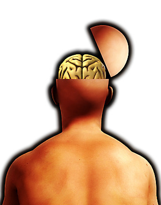 포토 JPG 해외이미지 남자 과학 백그라운드 컨셉 생각 신체 해부 상상 아이디어 사람 사람없음 숫자 환자 마음 오픈 오르간 스마트 집중 피부 뇌 생물학 귀 목 지능 해외202004 해외포토 문자 교육 의학 신체부위 건반악기 파일형식 이미지허브