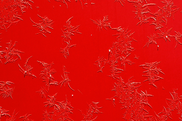 포토 JPG 해외이미지 꽃 별 조각 백그라운드 크리스마스 겨울 창문 자연 유리 벽지 날씨 추상 사람없음 장식 빨간색 얼음 추위 백발 흰색 투명 서리 결정체 내추럴 반투명 해외202004 해외포토 자연요소 식물 헤어스타일 계절 기념일 컬러 무늬 재질 생태계 파일형식 이미지허브