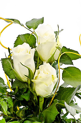 포토 JPG 해외이미지 식물 꽃 꽃다발 결혼 잎 꽃무늬 자연 결혼식 추상 발렌타인데이 선물 사랑 이벤트 20대 사람없음 장식 장미 흰색 생일 아로마 내추럴 해외202004 해외포토 기념일 감정 컬러 무늬 데이이벤트 청년 생태계 파일형식 이미지허브