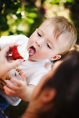 포토 JPG 해외이미지 백인 여자 남자 아들 어린이 음식 밭 과일 가족 자연 엄마 건강 성인 야외 두명 맑음 육아 수확 아기 도움 9 사과 과수원 먹기 해외202004 해외포토 서양인 컨셉 농업 관계 모션 날씨 사람 숫자 생태계 파일형식 이미지허브