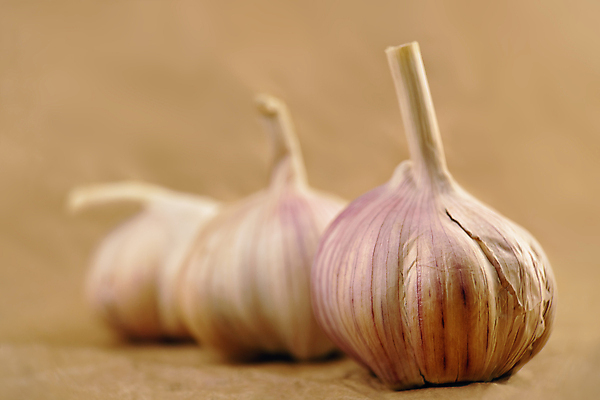 포토 JPG 해외이미지 음식 재료 전구 건강 마늘 사람없음 양념 조미료 허브 향신료 날것 내추럴 해외202004 해외포토 식물 채소 향미료 파일형식 이미지허브