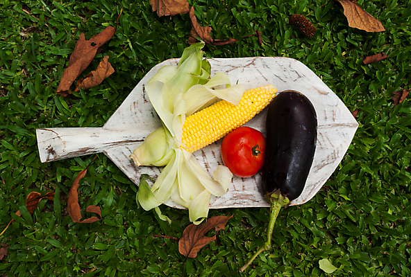 포토 JPG 해외이미지 행복 음식 백그라운드 잎 농업 다이어트 토마토 채소 과일 자연 가지 건강 옥수수 사람없음 목재 장식 빨간색 초록색 숫자 노란색 보라색 식사 저녁식사 어둠 수확 가을 흰색 신선 정상 먹기 유기농 날것 내추럴 고립 밭일 섞기 채식주의자 비건 해외202004 해외포토 나무 식물 문자 웰빙 계절 감정 산업 컬러 재료 모션 곡류 생태계 채식 파일형식 이미지허브