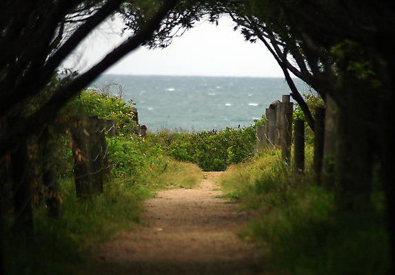 포토 JPG 해외이미지 길 바다 사람없음 여행객 산책 숲 오솔길 해외202004 해외포토 휴식 사람 파일형식 이미지허브