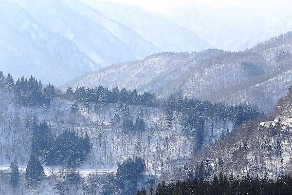 포토 JPG 해외이미지 나무 크리스마스 겨울 자연 표면 날씨 산 풍경 경사 사람없음 목재 물 일본 추위 눈송이 숲 언덕 서리 내추럴 해외202004 해외포토 자연요소 식물 계절 기념일 아시아 재료 눈_날씨 생태계 파일형식 이미지허브