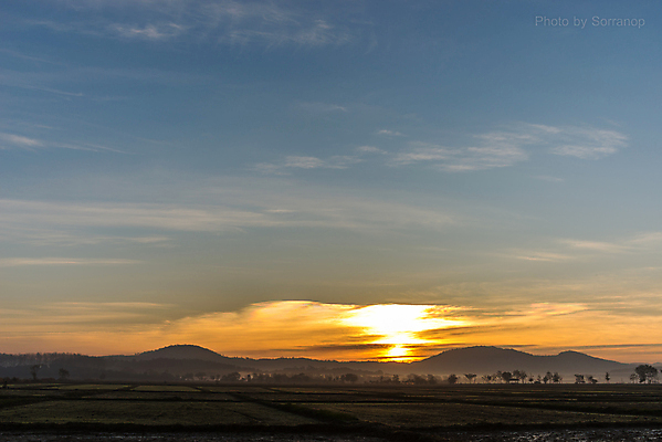 포토 JPG 해외이미지 구름 여행 밭 자연 하늘 아침 산 풍경 사람없음 야외 초록색 여름 일출 환경 계곡 새벽 안개 언덕 내추럴 절정 해외202004 해외포토 주간 자연요소 계절 컬러 농업 날씨 노을 생태계 파일형식 이미지허브