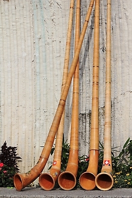 포토 JPG 해외이미지 자연 하늘 바람 휴가 휴식 산 파노라마 풍경 사람없음 파란색 달리기 장미 산책 하이킹 기구 모험가 스위스 오르기 천국 산악지대 뮤지컬 생존 해외202004 해외포토 자연요소 꽃 유럽 컬러 컨셉 모션 레저 날씨 촬영기법 생태계 파일형식 이미지허브