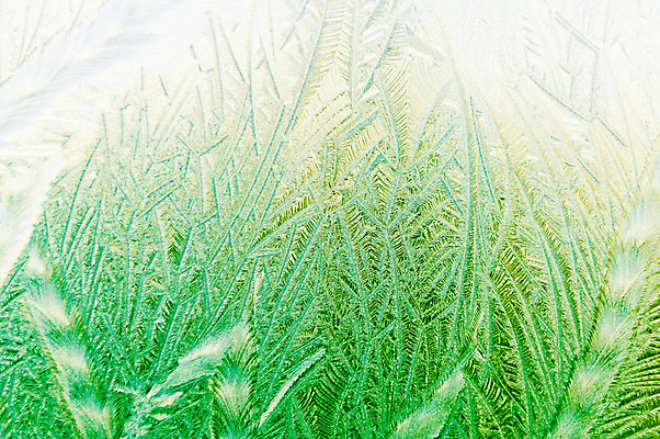 포토 JPG 해외이미지 디자인 계절 꽃 조각 백그라운드 크리스마스 겨울 패턴 창문 자연 유리 벽지 표면 추상 휴가 사람없음 장식 초록색 얼음 추위 신용카드 눈송이 12월 크리스탈 연도 질감 서리 내추럴 반투명 해외202004 해외포토 자연요소 식물 기념일 컬러 무늬 재질 눈_날씨 금융 날짜 광석 생태계 파일형식 이미지허브