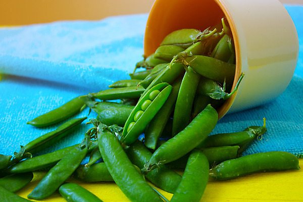 포토 JPG 해외이미지 식물 음료 음식 잎 농업 채소 과일 자연 탁자 콩 건강 씨앗 사람없음 초록색 갈색 주방 허브 오브젝트 유기농 완두콩 날것 성분 흙더미 꼬투리 숙성 여의주 해외202004 해외포토 웰빙 산업 컬러 가구 곡류 흙 생태계 파일형식 더미 이미지허브