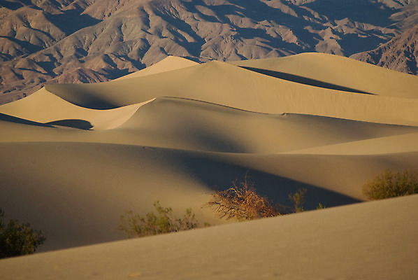 포토 JPG 해외이미지 주간 공원 모래 여행 자연 산 풍경 사람없음 야외 가로 컬러풀 환경 미국 사막 황무지 모래언덕 캘리포니아 생태학 울퉁불퉁 지질학 해외202004 해외포토 자연요소 공공시설 교육 컬러 북아메리카 언덕 생태계 파일형식 이미지허브