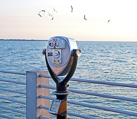 포토 JPG 해외이미지 응시 모래 파도 바다 여행 조류 하늘 휴가 풍경 사람없음 야외 물 여름 파란색 모래사장 여행객 동전 미국 일몰 쌍안경 망원경 관찰 선택 옛날 수평선 플로리다 해외202004 해외포토 자연요소 동물 시선 계절 컬러 컨셉 돈 북아메리카 모션 사람 노을 파일형식 이미지허브