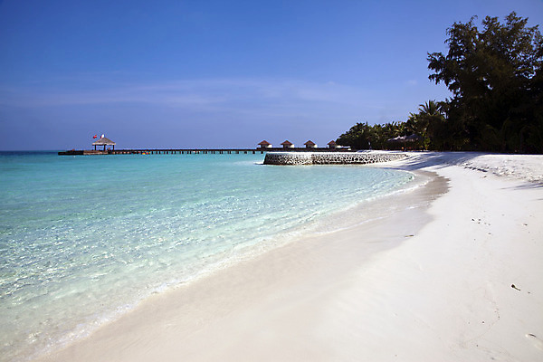 포토 JPG 해외이미지 나무 모래 파도 섬 하늘색 하늘 휴가 사람없음 물 파란색 평화 귀여움 항구 흰색 부드러움 몰디브 터키석 해외202004 해외포토 자연요소 식물 아시아 바다 컬러 컨셉 교통시설 감각 보석 파일형식 이미지허브