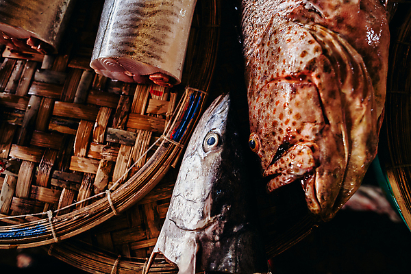포토 JPG 해외이미지 전통 문화 조각 비즈니스 자연 거리 어류 요리 동양인 사람없음 세일 얼음 여러개 젖음 신선 도시 시장 자르기 참치 해산물 베트남 지역 고등어 소매 이국적 차이나타운 해외202004 해외포토 자연요소 다수 모션 인종 관광지 동남아시아 수중동물 생태계 파일형식 이미지허브